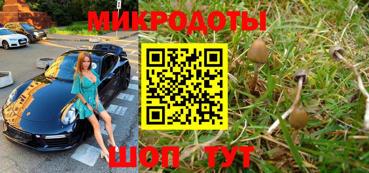 Псилоцибиновые грибы ЛСД  Галлюциногенные грибы прущие грибы  Вход с VPN  где можно купить наркотик  Междуреченск 